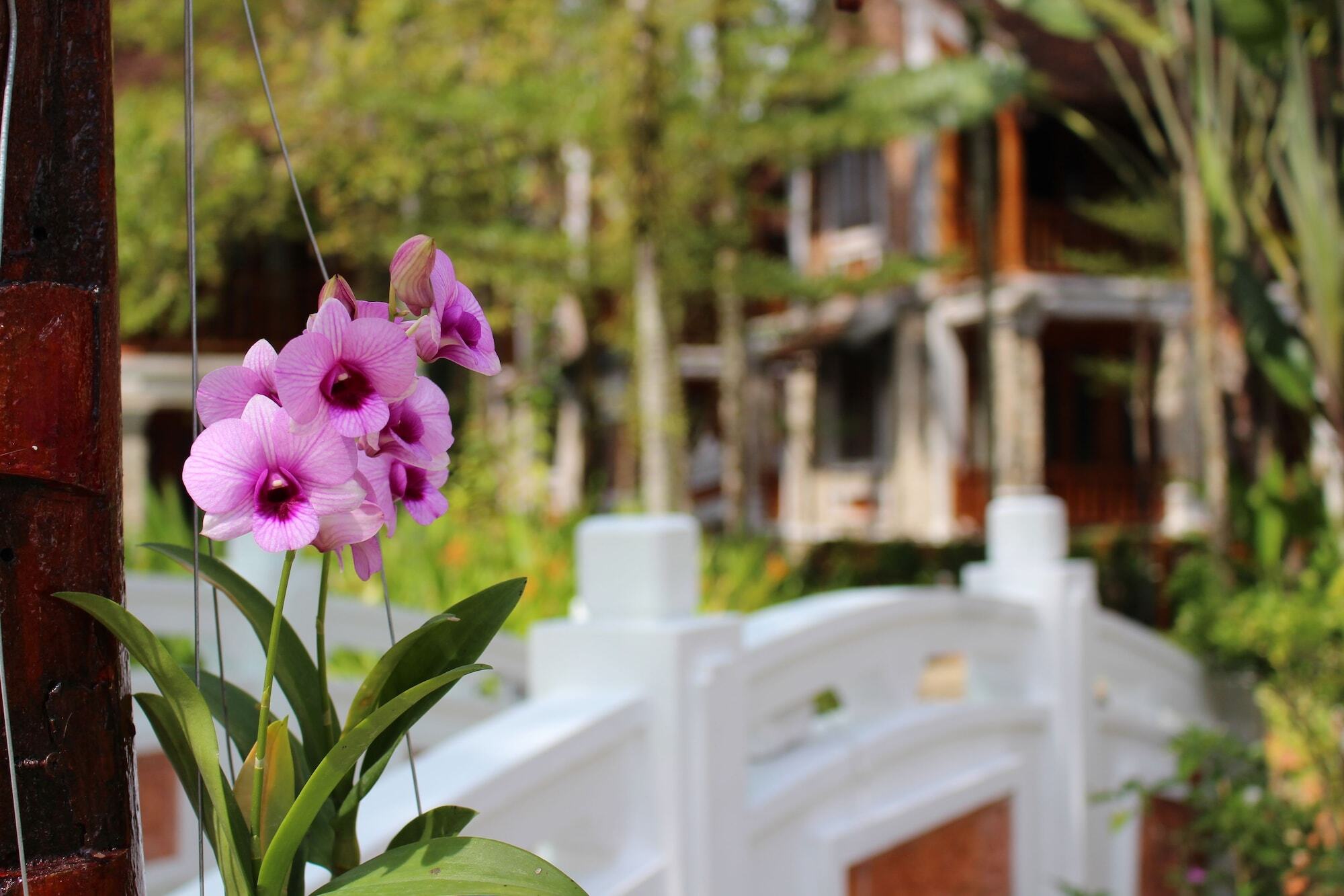 Ancient Village Phu Quoc Resort Eksteriør bilde